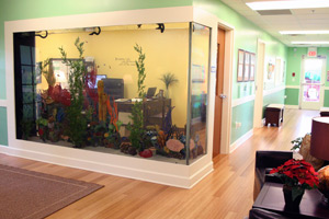 preschools in Nashville TN